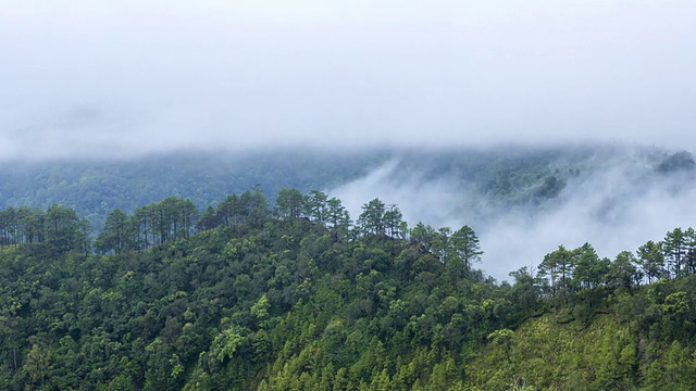 雾滚滚流过群山，时光流逝视频素材