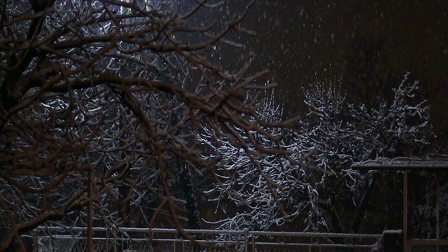 下雪的夜晚视频素材