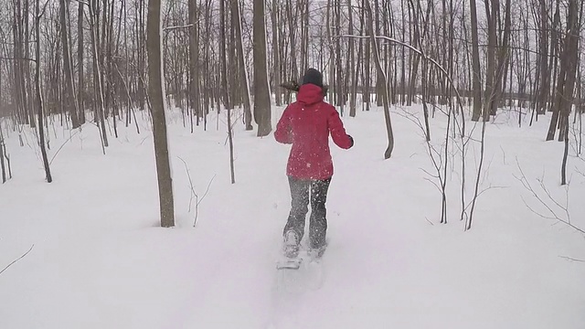 在粉末雪中穿着雪鞋跑步的女人视频素材