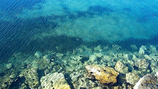 浅海视频下载