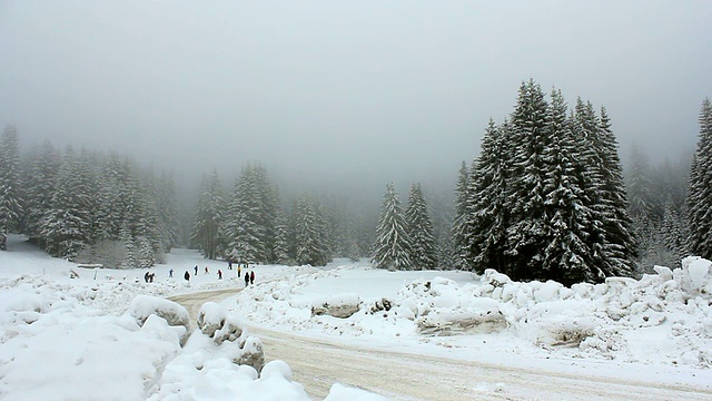 被雪覆盖的道路视频素材