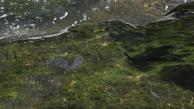 流水的细节镜头视频素材