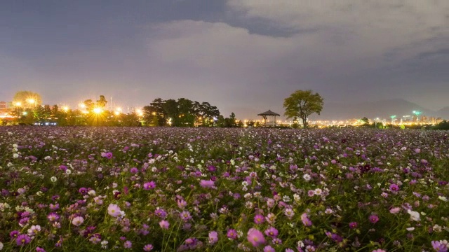 邯钢公园宇宙花坛夜景视频素材