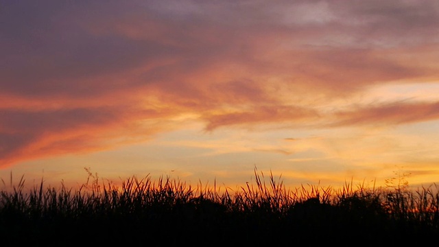 喷气式飞机降落在夕阳背景下。视频素材