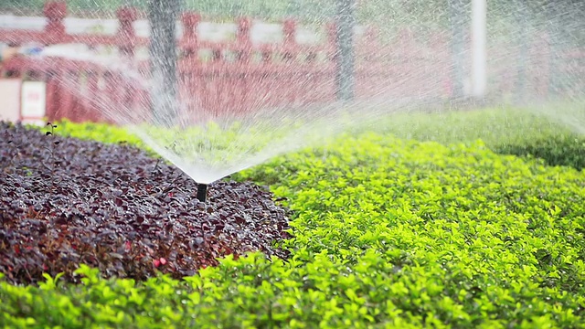 sprinkler在白天给公园草坪浇水视频素材