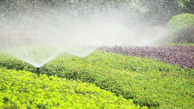 sprinkler在白天给公园草坪浇水视频素材