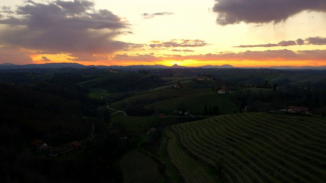 空中的葡萄园在夕阳下的乡村视频素材