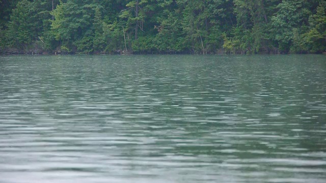 雨滴落在瓦尔登湖，瓦尔登湖州保留地，康科德，马萨诸塞州视频素材