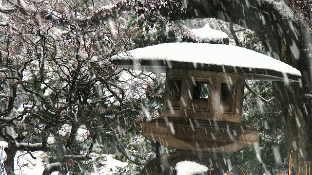 陆厂花园中被雪覆盖的灯笼视频素材