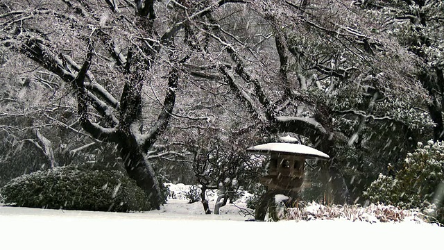 陆市花园的灯笼上覆盖着积雪视频素材