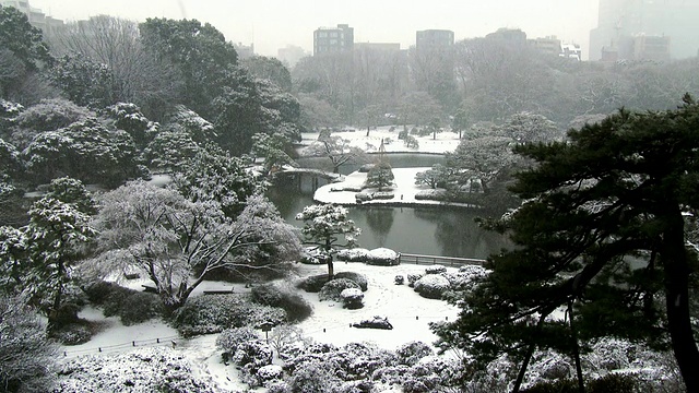 日本陆厂花园的冬季景色视频素材