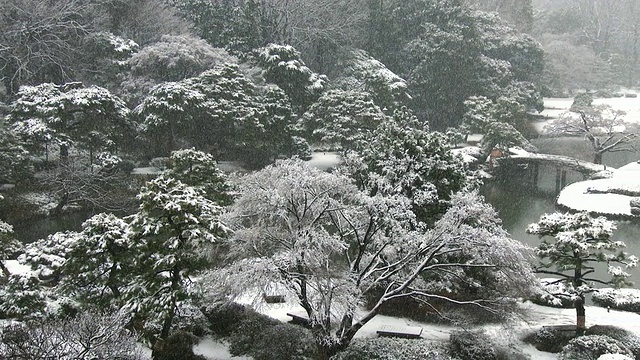 在陆厂花园中拍摄日本冬天的景色视频素材