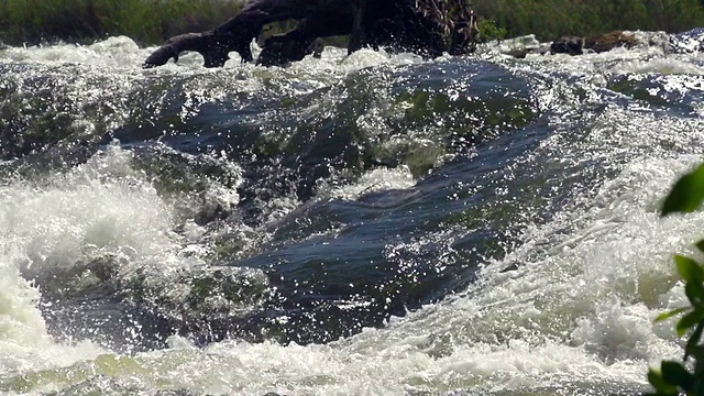 慢动作河流急流视频下载