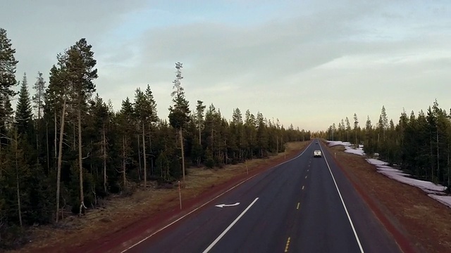 高角度拍摄的汽车在道路上通过森林视频素材