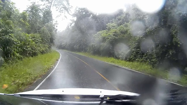 在热带雨林的乡村公路上行驶视频素材