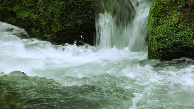 绿林溪流视频素材