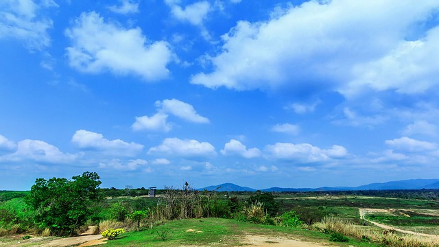 夏天的风景。视频素材