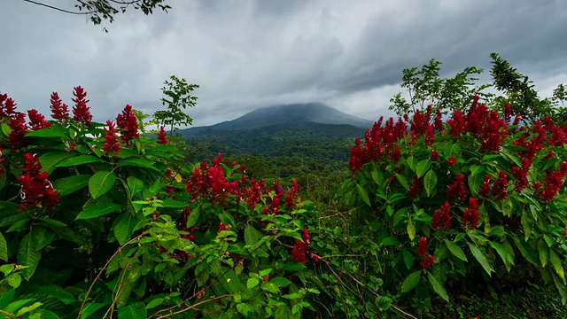 阿雷纳尔火山国家公园视频素材