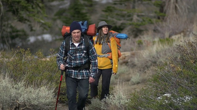 一对男人和女人一起在山里的森林小径上徒步旅行。视频素材