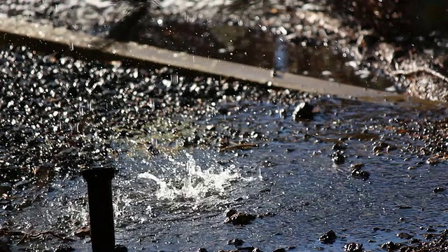 水像雨一样落进水坑里视频下载