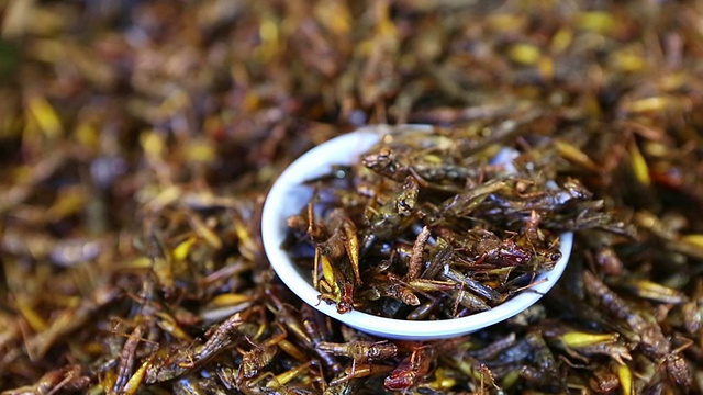 食用昆虫食物泰国菜泰国视频素材