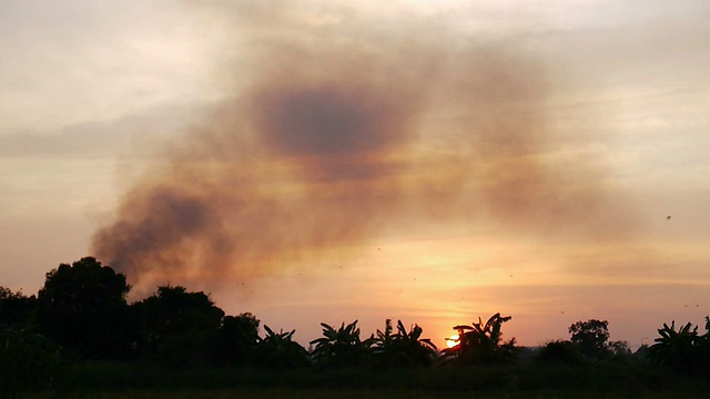 喷气式飞机降落在夕阳背景下。视频素材