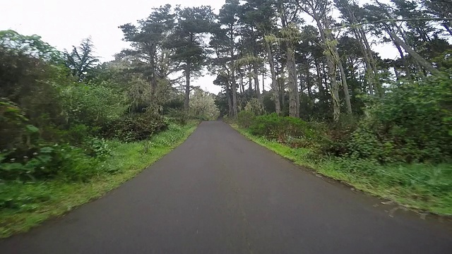 门多西诺附近的1号高速公路上有树、雾和过往的汽车。视频素材