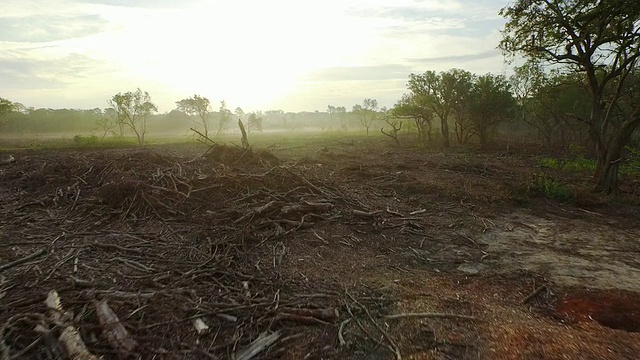 被毁林破坏的土地鸟瞰图视频下载