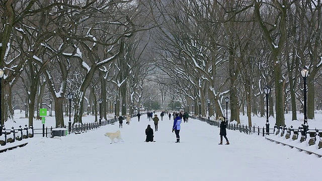 相机拍下了人们在冰雪覆盖的购物中心里行走的画面，购物中心周围环绕着冬天的枯树。视频素材