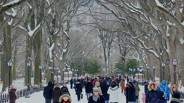 TU的相机捕捉到了人们在白雪覆盖的购物中心里行走的画面，购物中心周围环绕着冬天的枯树。视频素材