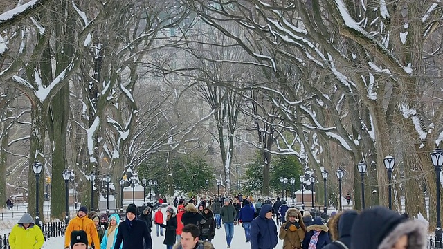 TD相机拍下了人们走在雪地里，周围是冬天的干树。视频素材