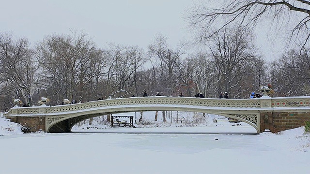 PAN相机在下雪的时候捕捉到了结冰的湖面和被雪覆盖的弓桥。人们在下雪的时候走在桥上。由于温度低，湖水完全结冰了。视频素材