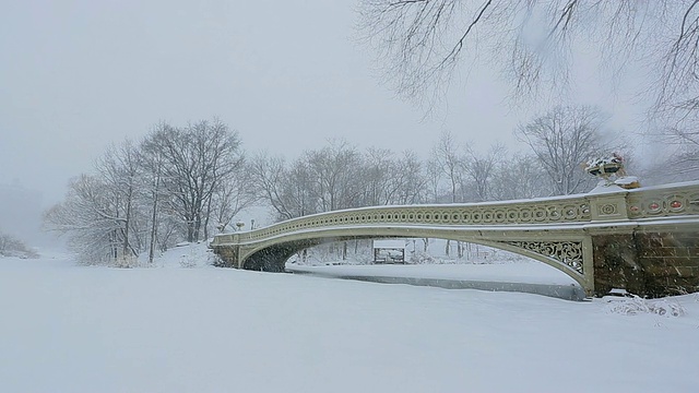 TU TD相机在下雪的时候拍摄到了结冰的湖面和被雪覆盖的弓桥。中央公园西部住宅可以看到后面的湖完全冻结的温度。视频素材