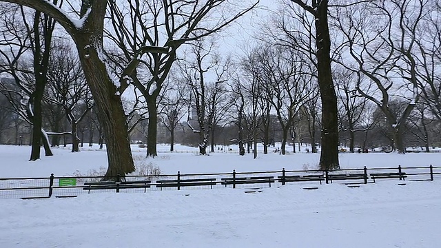 360度的中央公园购物中心雪景。相机拍下了人们在冰雪覆盖的购物中心里行走的画面，购物中心周围环绕着冬天的枯树。视频素材