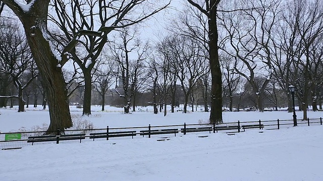 360度的中央公园购物中心雪景。相机拍下了人们在冰雪覆盖的购物中心里行走的画面，购物中心周围环绕着冬天的枯树。视频素材