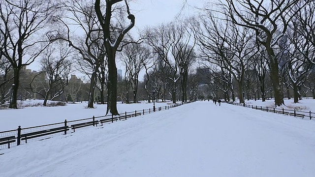 360度的中央公园购物中心雪景。相机拍下了人们在冰雪覆盖的购物中心里行走的画面，购物中心周围环绕着冬天的枯树。视频素材