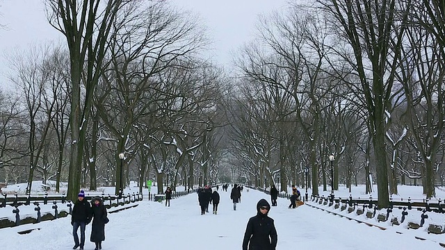 TU的相机捕捉到了人们在白雪覆盖的购物中心里行走的画面，购物中心周围环绕着冬天的枯树。视频素材