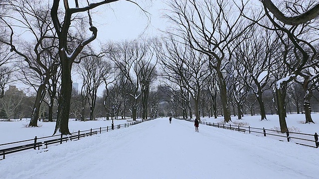 TU的相机捕捉到了人们在白雪覆盖的购物中心里行走的画面，购物中心周围环绕着冬天的枯树。视频素材