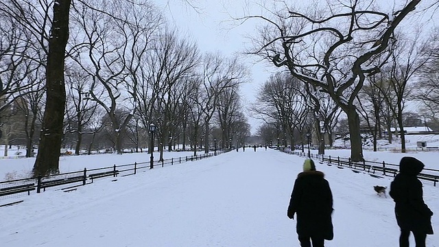 360度的中央公园购物中心雪景。视频素材