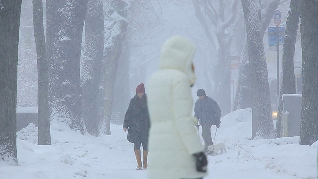 人们走在第五大道的人行道上，周围是积雪的树木。视频素材