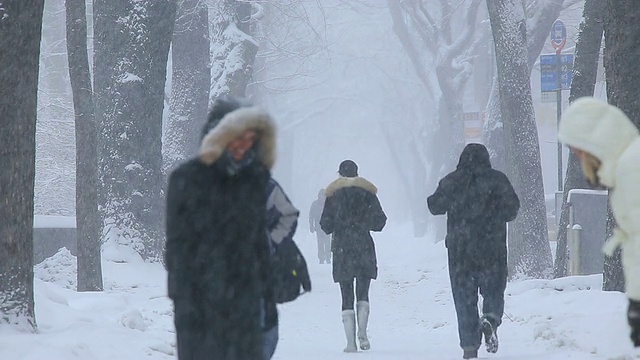 人们走在第五大道的人行道上，周围是积雪的树木。视频素材