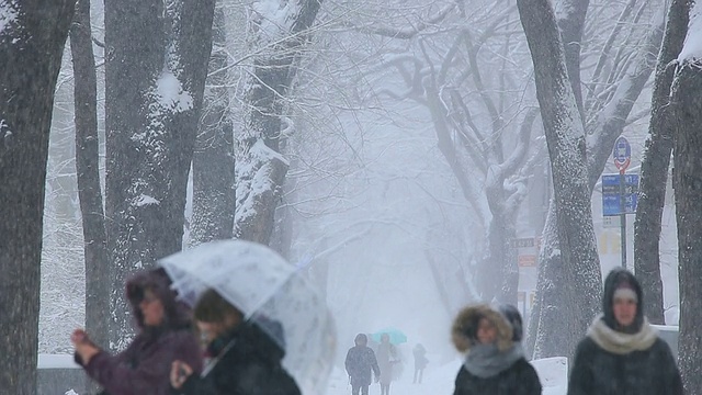 人们正走在第五大道的人行道上，周围是积雪的树木。视频素材