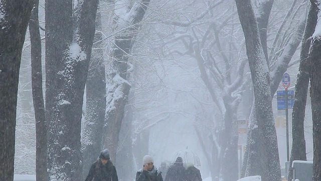 人们正走在第五大道的人行道上，周围是积雪的树木。视频素材