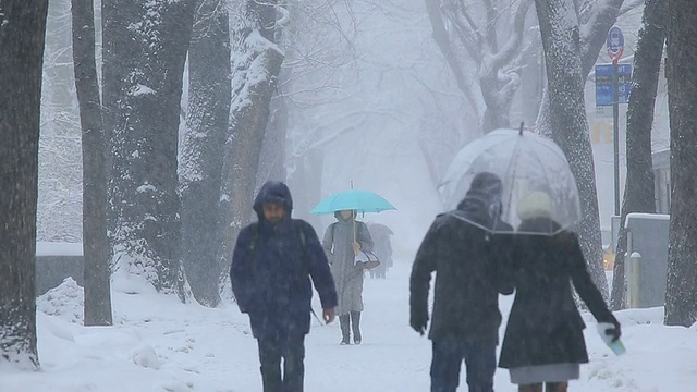 人们正走在第五大道的人行道上，周围是积雪的树木。视频素材