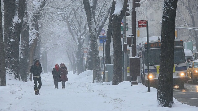 人们走在第五大道的人行道上，周围是积雪的树木。汽车在第五大街行驶视频素材