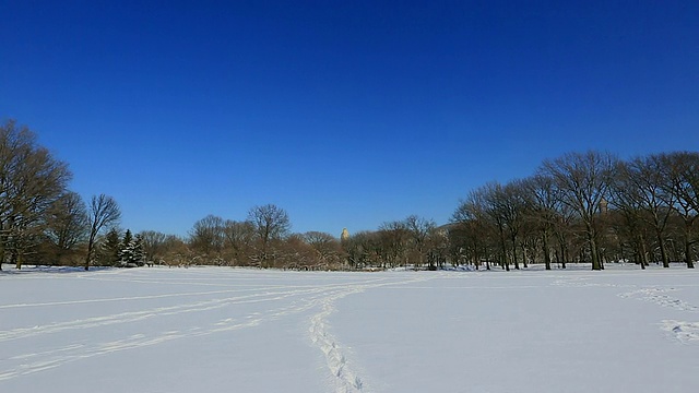 PAN相机捕捉到了雪地上的绵羊草地和曼哈顿摩天大楼上方的太阳。视频素材