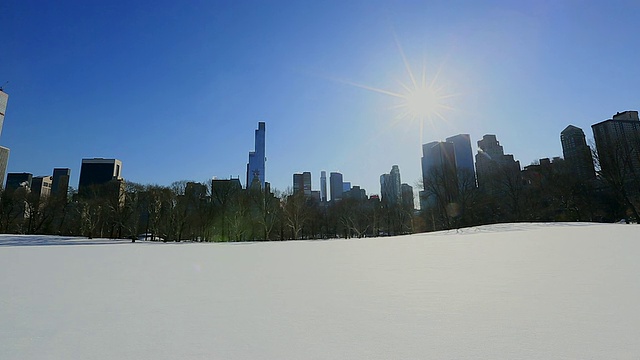 TU TD相机拍摄了雪地上的绵羊草地和曼哈顿摩天大楼上方的太阳。视频素材