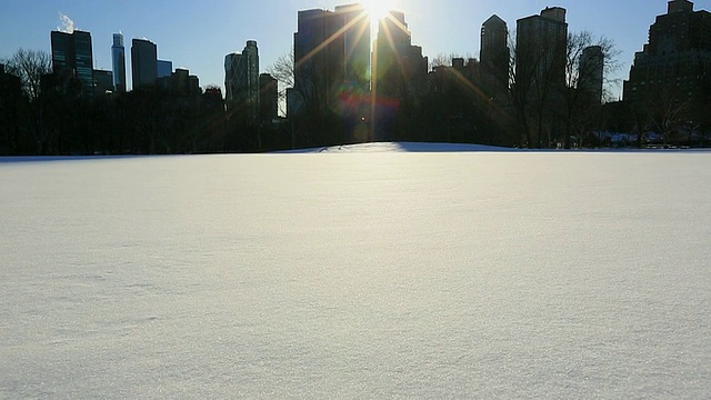 TU的相机捕捉到了雪地上的绵羊草地和曼哈顿摩天大楼上方的太阳。视频素材