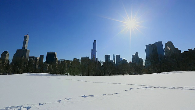 TU的相机捕捉到了雪地上的绵羊草地和曼哈顿摩天大楼上方的太阳。视频素材