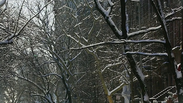 TU的相机捕捉到了昨晚早上被雪包裹的汽车。可以看到一排白雪皑皑的树木和住宅公寓。视频素材